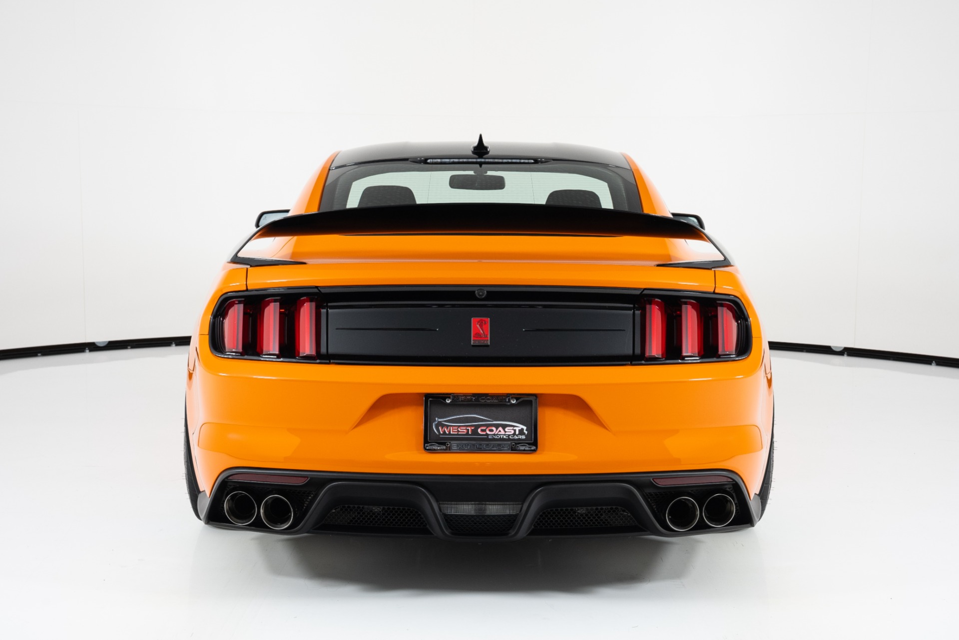 Shelby Mustang Rear View